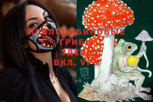 mix Верея